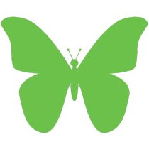 Green Butterfly Icon (1)
